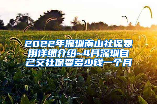 2022年深圳南山社保费用详细介绍~4月深圳自己交社保要多少钱一个月