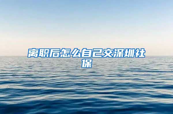 离职后怎么自己交深圳社保