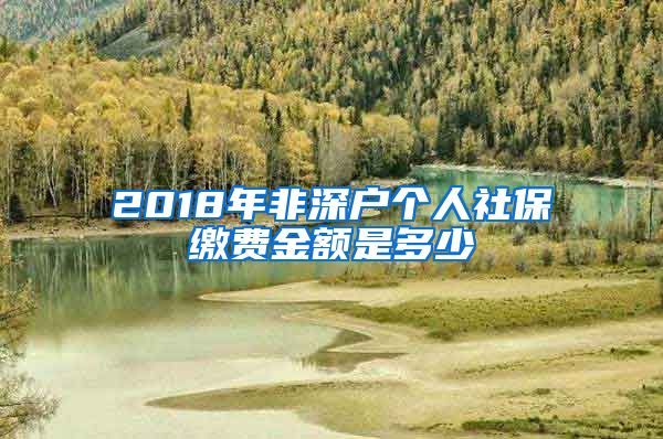 2018年非深户个人社保缴费金额是多少