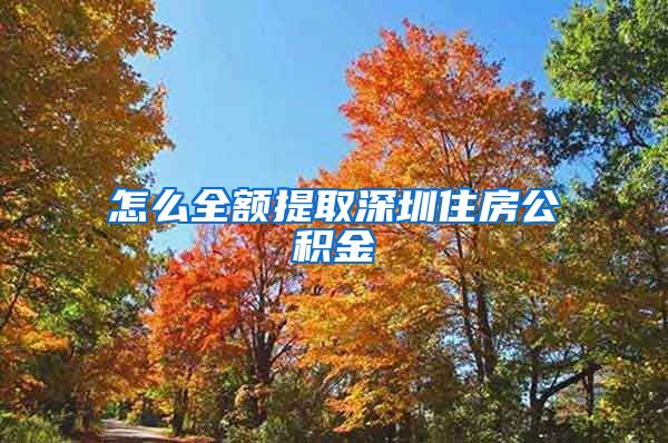 怎么全额提取深圳住房公积金