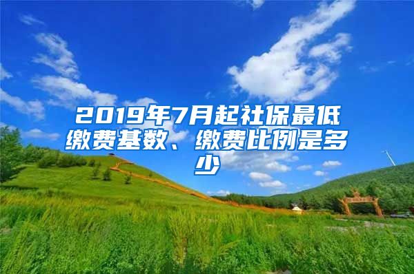 2019年7月起社保最低缴费基数、缴费比例是多少