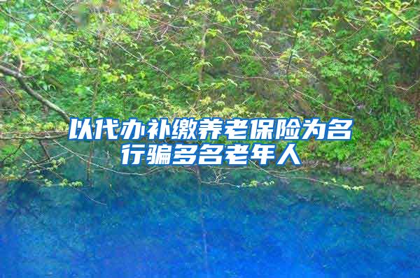 以代办补缴养老保险为名行骗多名老年人