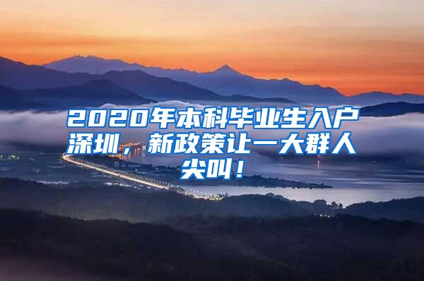 2020年本科毕业生入户深圳，新政策让一大群人尖叫！