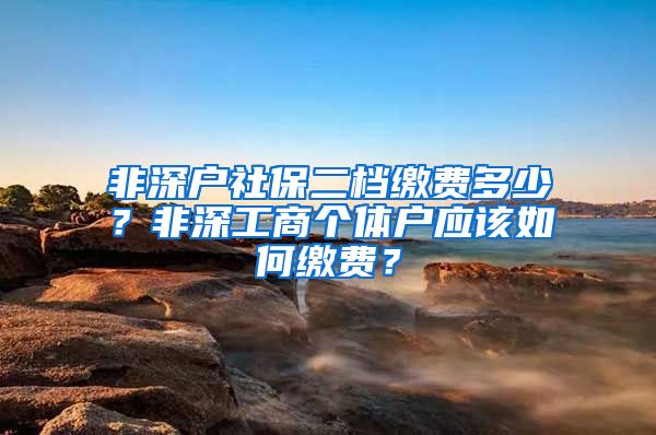 非深户社保二档缴费多少？非深工商个体户应该如何缴费？