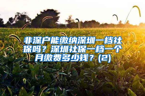 非深户能缴纳深圳一档社保吗？深圳社保一档一个月缴费多少钱？(2)