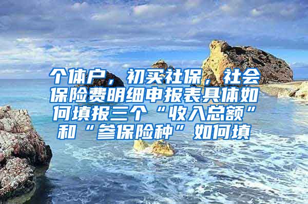 个体户，初买社保，社会保险费明细申报表具体如何填报三个“收入总额”和“参保险种”如何填