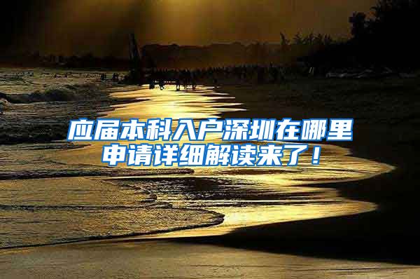 应届本科入户深圳在哪里申请详细解读来了！