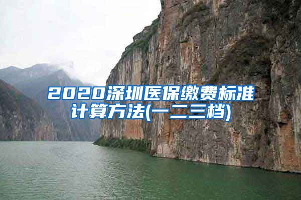 2020深圳医保缴费标准计算方法(一二三档)