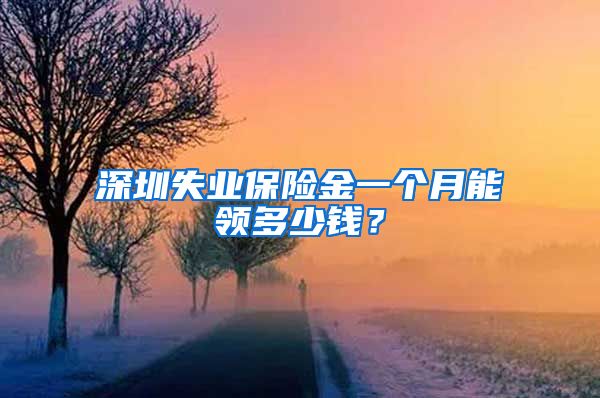 深圳失业保险金一个月能领多少钱？