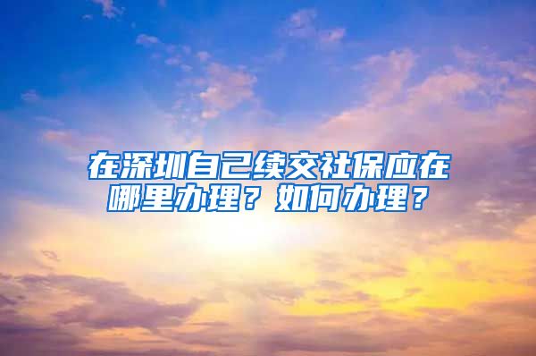 在深圳自己续交社保应在哪里办理？如何办理？