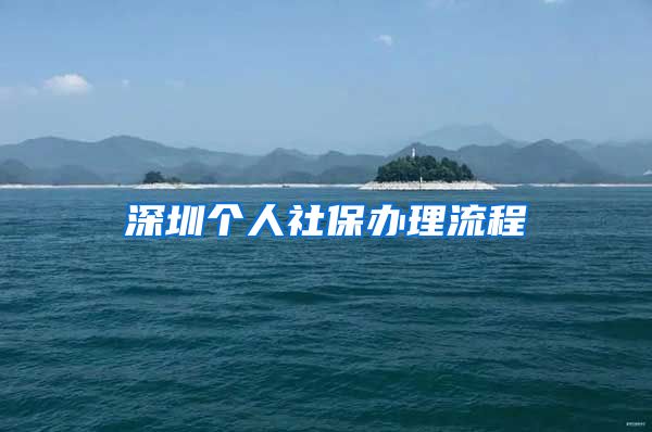 深圳个人社保办理流程