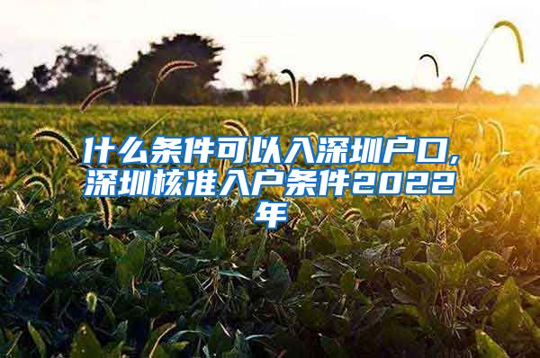 什么条件可以入深圳户口,深圳核准入户条件2022年