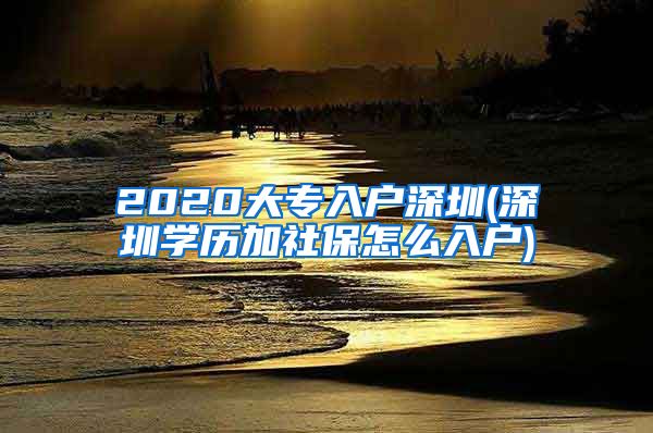 2020大专入户深圳(深圳学历加社保怎么入户)