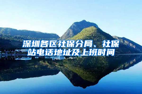 深圳各区社保分局、社保站电话地址及上班时间