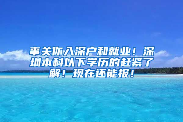 事关你入深户和就业！深圳本科以下学历的赶紧了解！现在还能报！