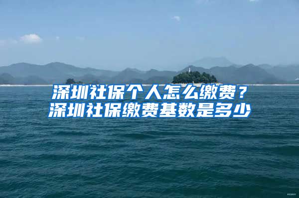 深圳社保个人怎么缴费？深圳社保缴费基数是多少