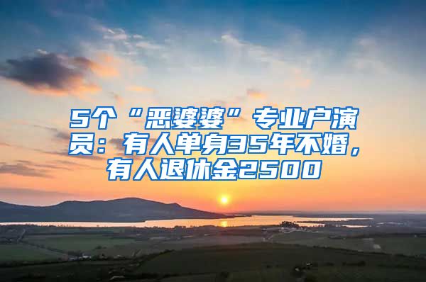 5个“恶婆婆”专业户演员：有人单身35年不婚，有人退休金2500