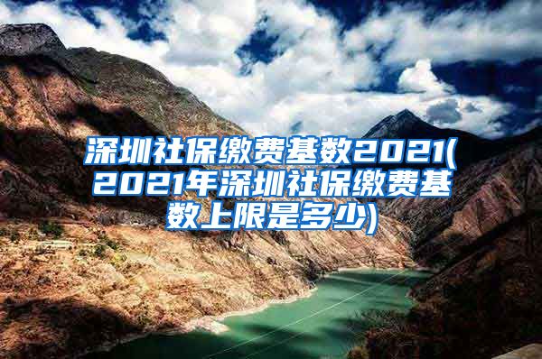 深圳社保缴费基数2021(2021年深圳社保缴费基数上限是多少)