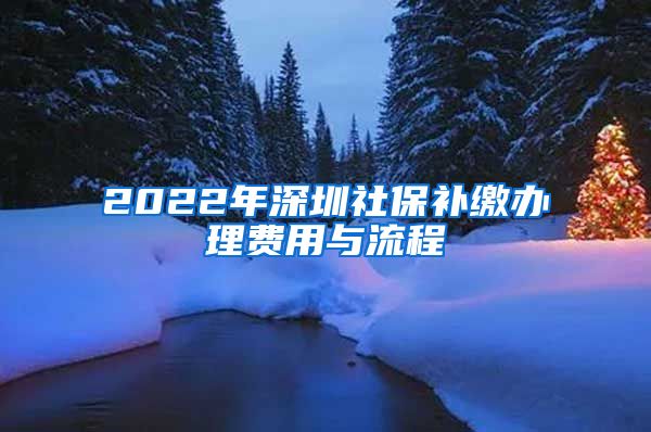 2022年深圳社保补缴办理费用与流程