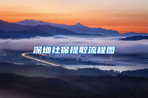 深圳社保提取流程图