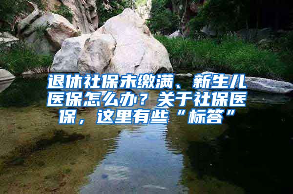 退休社保未缴满、新生儿医保怎么办？关于社保医保，这里有些“标答”