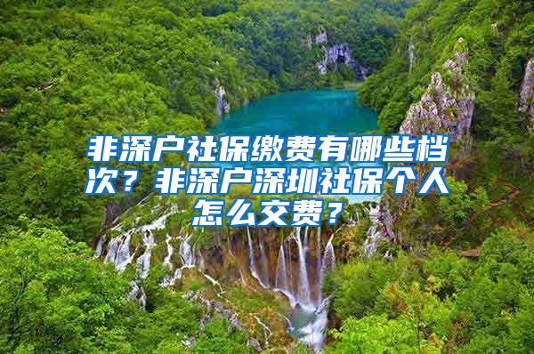 非深户社保缴费有哪些档次？非深户深圳社保个人怎么交费？