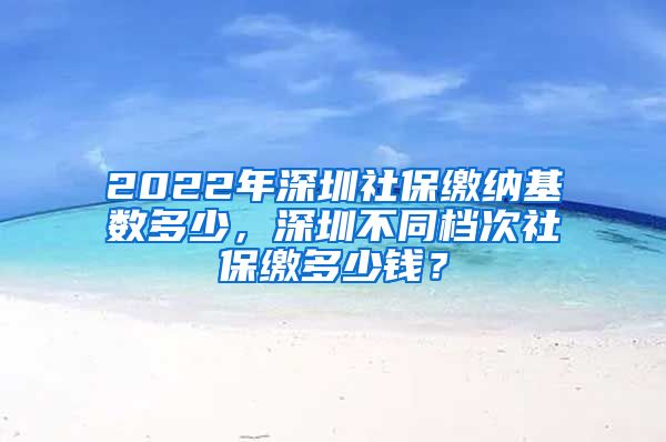 2022年深圳社保缴纳基数多少，深圳不同档次社保缴多少钱？