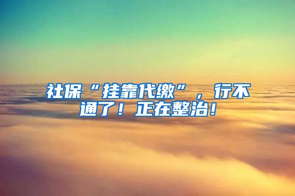 社保“挂靠代缴”，行不通了！正在整治！