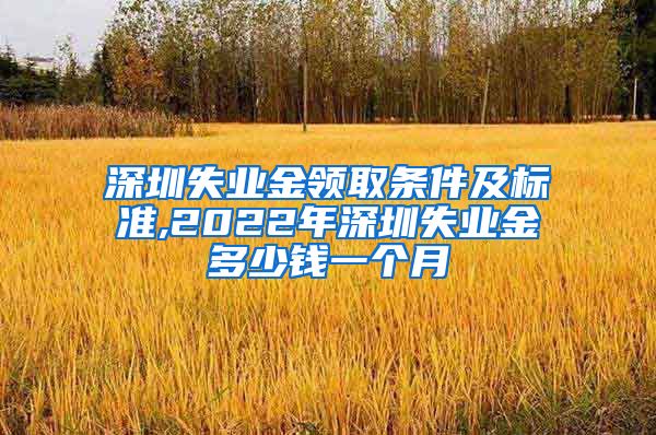 深圳失业金领取条件及标准,2022年深圳失业金多少钱一个月