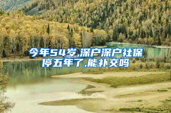 今年54岁,深户深户社保停五年了,能补交吗