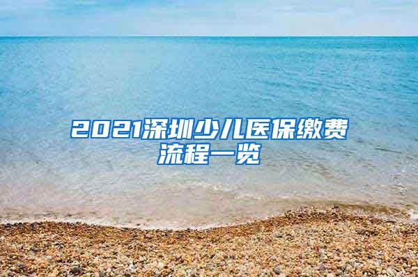 2021深圳少儿医保缴费流程一览