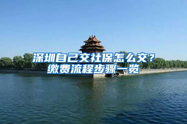 深圳自己交社保怎么交？缴费流程步骤一览