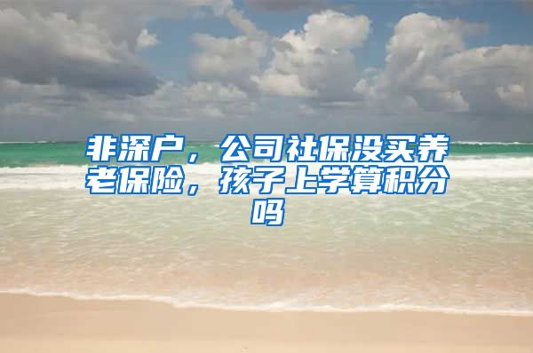 非深户，公司社保没买养老保险，孩子上学算积分吗