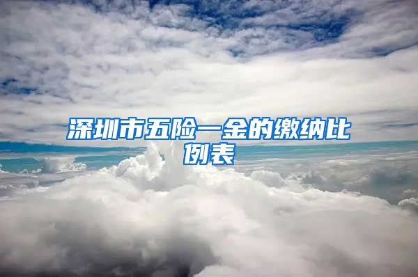 深圳市五险一金的缴纳比例表