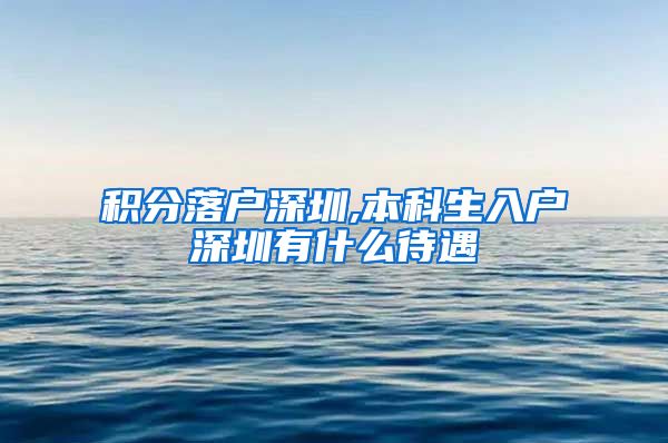 积分落户深圳,本科生入户深圳有什么待遇