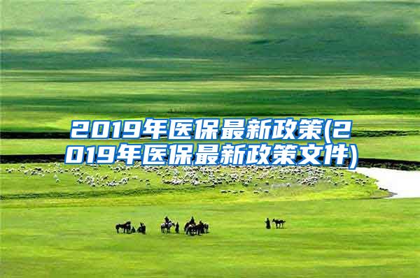 2019年医保最新政策(2019年医保最新政策文件)