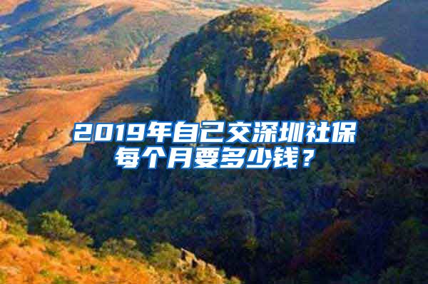 2019年自己交深圳社保每个月要多少钱？