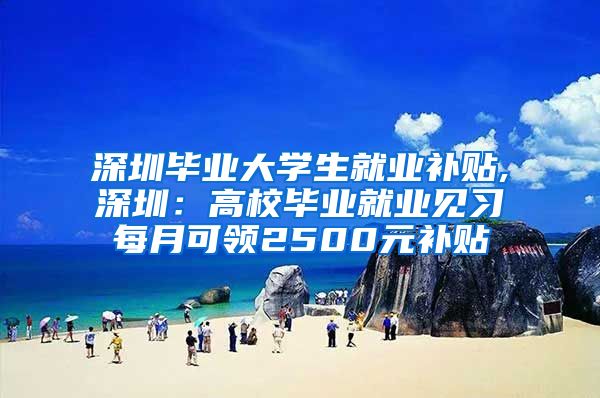 深圳毕业大学生就业补贴,深圳：高校毕业就业见习每月可领2500元补贴