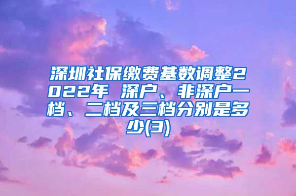 深圳社保缴费基数调整2022年 深户、非深户一档、二档及三档分别是多少(3)