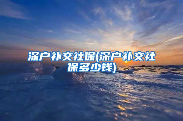 深户补交社保(深户补交社保多少钱)