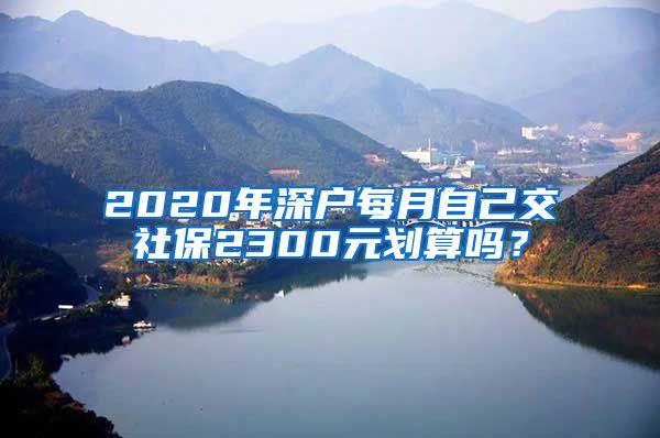 2020年深户每月自己交社保2300元划算吗？