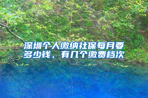 深圳个人缴纳社保每月要多少钱，有几个缴费档次