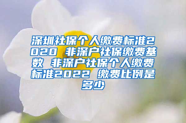 深圳社保个人缴费标准2020 非深户社保缴费基数 非深户社保个人缴费标准2022 缴费比例是多少