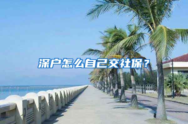 深户怎么自己交社保？