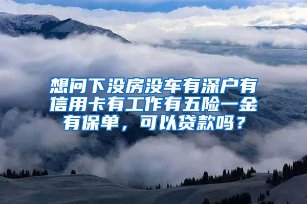 想问下没房没车有深户有信用卡有工作有五险一金有保单，可以贷款吗？