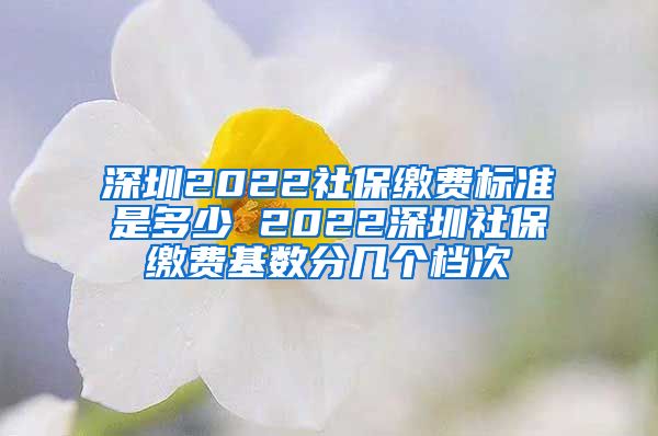 深圳2022社保缴费标准是多少 2022深圳社保缴费基数分几个档次