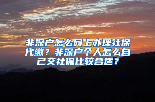 非深户怎么网上办理社保代缴？非深户个人怎么自己交社保比较合适？