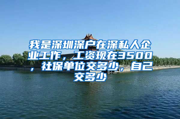 我是深圳深户在深私人企业工作，工资现在3500，社保单位交多少，自己交多少