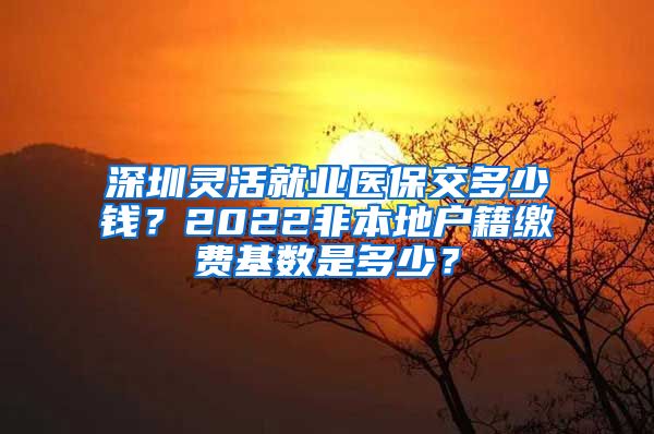 深圳灵活就业医保交多少钱？2022非本地户籍缴费基数是多少？