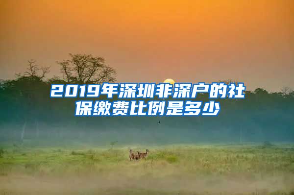 2019年深圳非深户的社保缴费比例是多少